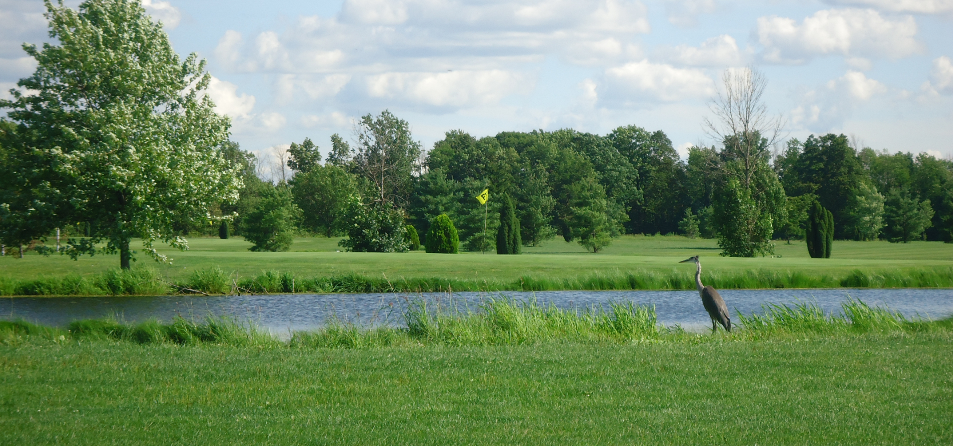 Course Photos Whiteford Valley Golf Course North